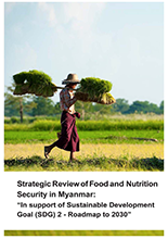 MIID Publishes Review Of Food And Nutrition Security In Myanmar